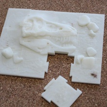 jigsaw paleontology 12 pieces puzzle dinosaurs 3d print model - Mito3D