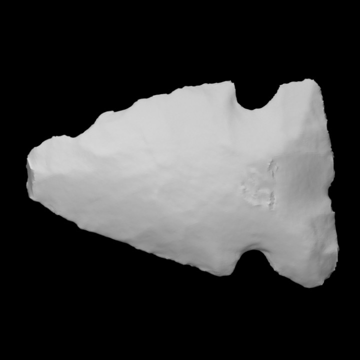 biface - coads 133-1 scan stone rock archaeology anthropology 3D print model - Mito3D