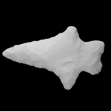 biface - coads 156-117 scan rock projectile point archaeology delaware anthropology 3d print model - Mito3D