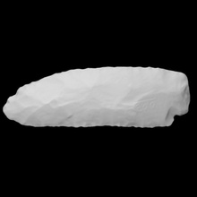 biface - coads 158-1 scan stone projectile point archaeology anthropology 3d print model - Mito3D