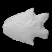 biface - coads 210-5 scan stone rock archaeology anthropology 3d print model - Mito3D