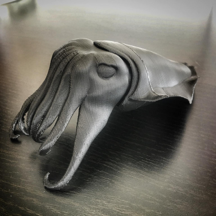 seppia animale pesce modello oceano realistico mare cefalopodi tentacoli grandezza naturale alta qualità 3D print model - Mito3D