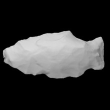 biface - coads 271-1 scan history stone rock projectile point archaeology anthropology 3d print model - Mito3D