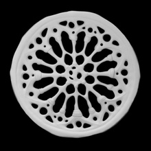 rose window scan architecture decorative frame circular italy pisa 3d print model - Mito3D