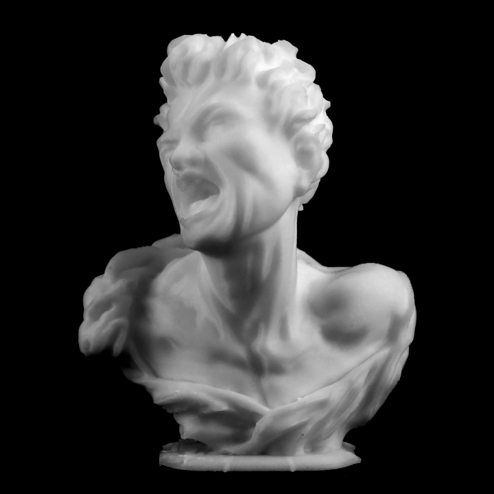 busto marsyas museo metropolitano arte york scan bernini 3D print model - Mito3D