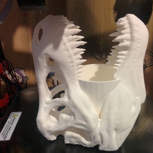 t-rex skull pen holder & garden decoration dinosaur office stationery penholder t-rexskull 3d print model - Mito3D