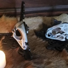 cat skull bookend & garden book bookend cat gothic skull steampunk witch library 3d print model - Mito3D