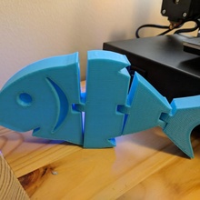 fornido flexi pez revisar educativo divertido juguete juguetes flexionar 3d print model - Mito3D