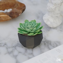 geometrisch Topf Gericht Garten Pflanze Vase Sukkulenten 3d print model - Mito3D