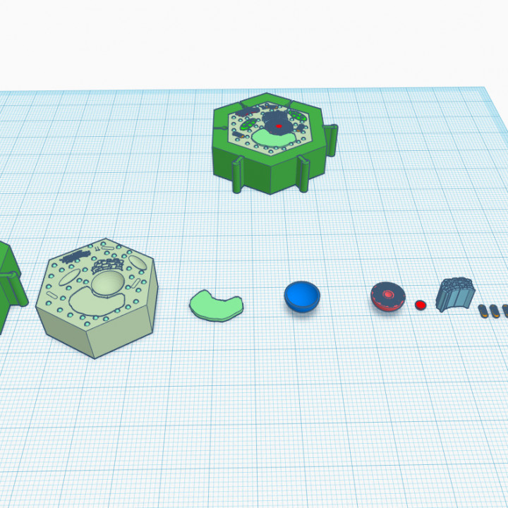 proyecto concurso esperança 3d lula vegetal tinkercadhope3deducation 3D print model - Mito3D