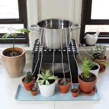 watering plant pot 3d print model - Mito3D