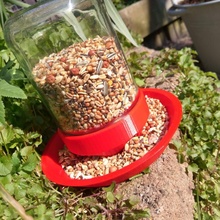 birdfeeder & garden bird nature upcycling jar birds outdoor feeder glas 3d print model - Mito3D
