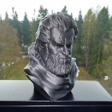 tormund giantsbane ventilateur art buste géant Humain sculpture personnage barbe Masculin Trône Fer fanart Lait 3d print model - Mito3D