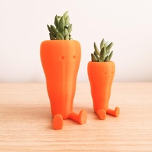 cute carrot shaped suculent planter & garden diy vase cactus day herbs growing gifts succulent maceta regalos 3d print model - Mito3D