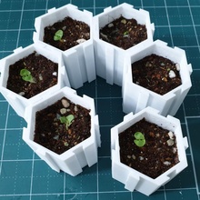 assembable plant starter & garden pot rhino3d 3d print model - Mito3D