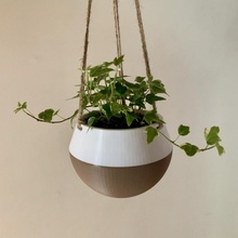 hanging planter & garden flower flowers pot plants pots 3d print model - Mito3D