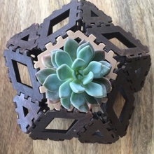 polypanels planter panels pentagon square wood triangle succulent rhombus 3d print model - Mito3D