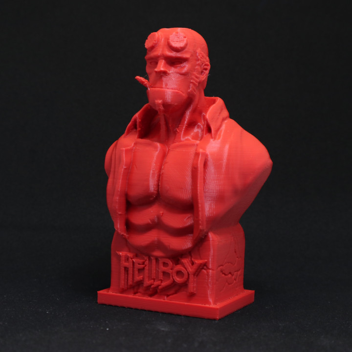 ragazzo infernale fallimento fan arte 3D print model - Mito3D