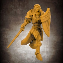 human female paladin tabletop armor armour knight shield sword warrior miniature wargame d&d pathfinder 3d print model - Mito3D