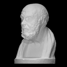 chrysippus scan bust greek head portrait roman sculpture philosopher stoic philosophy stoicism 3d print model - Mito3D