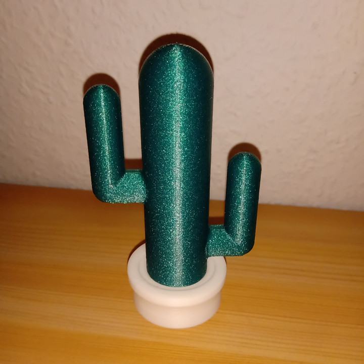 decorativo cactus planta maceta 3D print model - Mito3D