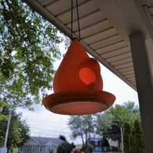 droplet bird house & garden hanging feeder 3d print model - Mito3D