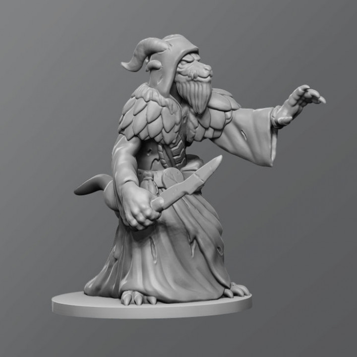 dragontouched kobold tabletop dnd dungeonanddragons 3D print model - Mito3D