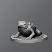 toad tabletop animal dnd dungeonanddragons 3d print model - Mito3D