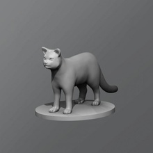 kedi masaüstü hayvan dnd zindan ejderhalar 3d print model - Mito3D