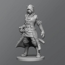 cat rogue tabletop dnd dungeonanddragons 3d print model - Mito3D