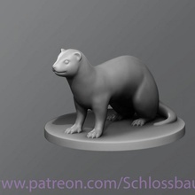 ferret tabletop animal dnd dungeonanddragons 3d print model - Mito3D