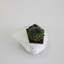 flower pot & garden decoration flowerpot 3d print model - Mito3D