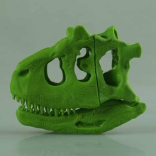 carnotaurus skull education animal dinosaur figurine history 3d print model - Mito3D