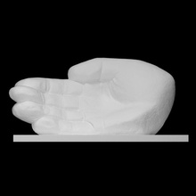 mano scansione anatomia umano statua grande persona anversa 3d print model - Mito3D