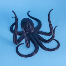 octopus wall hanger holder animal animals ocean sea octopi jewelry 3d print model - Mito3D