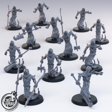 ghosts tabletop fantasy shadow wraith dnd banshee castnplay 3d print model - Mito3D