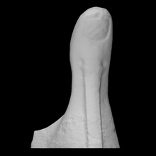 pollex thumb scan art stone 1972 students forma slovenija viva ro dolina tudentsko syposium ljubljana bihacit umetnost prst jakov brdar palec sculptura akademija delo 3d print model - Mito3D