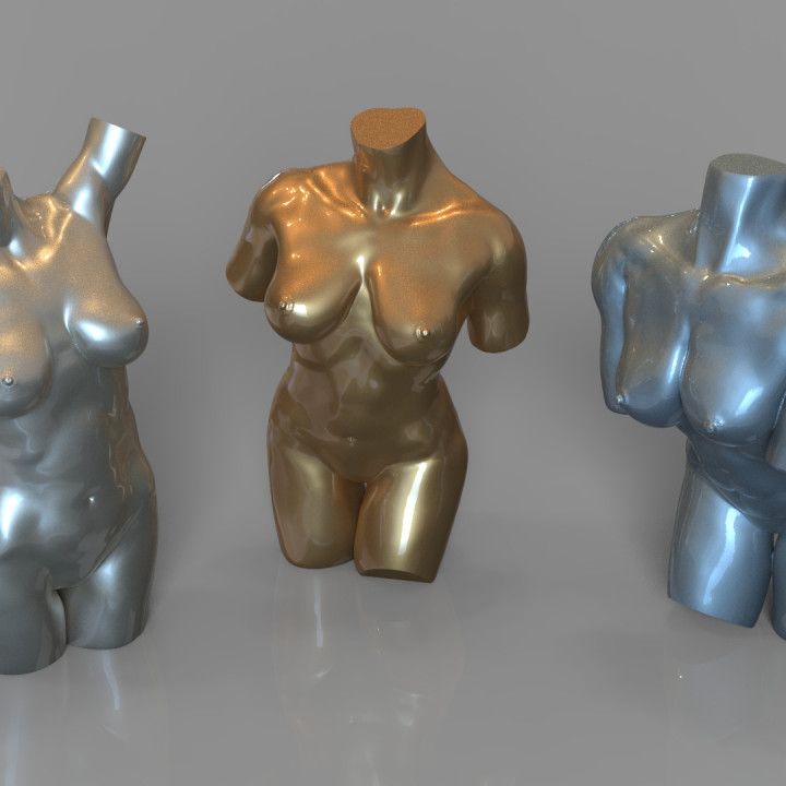 3 femelle corps anatomie torse seins bout ero 3D print model - Mito3D