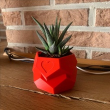 polygon planter heart love 3d print model - Mito3D