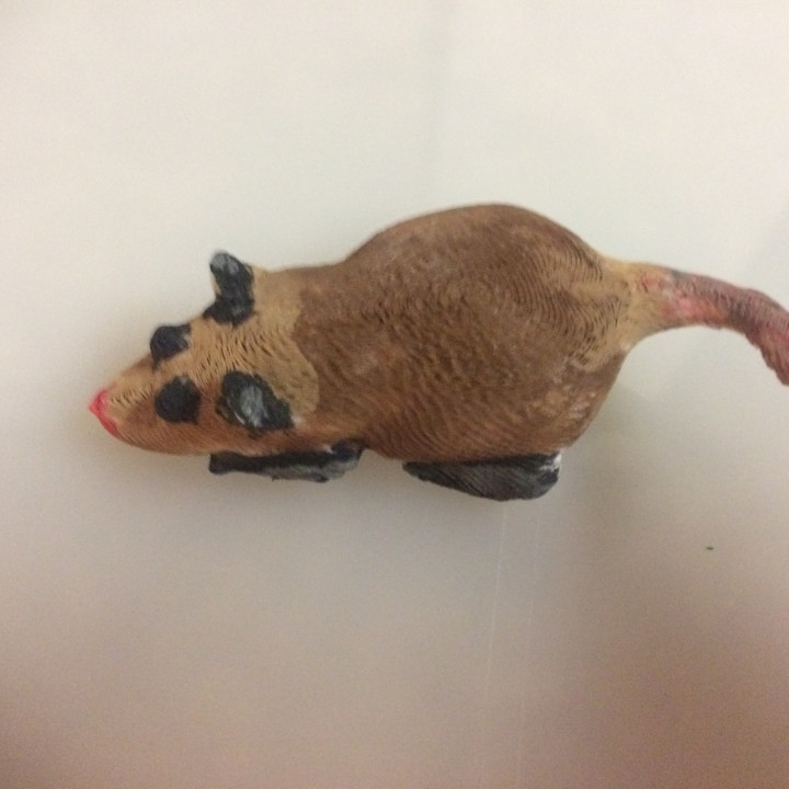 zarigüeya animal criatura lindo mamífero marsupial 3D print model - Mito3D