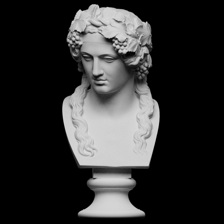 baş baküs taramak büst Tanrı Vesika mermer İsveç Dionysus Openglam artec eva Ulusal müze 3D print model - Mito3D