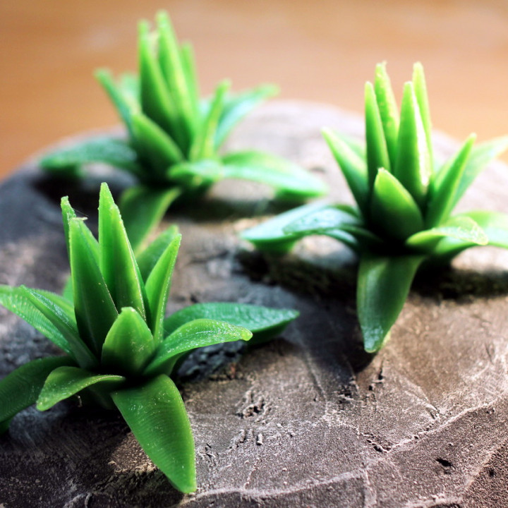 table plante agave fantaisie terrain wargaming miniature plantes jeu guerre végétation 3D print model - Mito3D