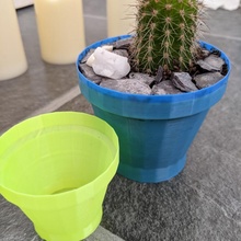 generic cactus plant pot desk fun garden office quick vase planter vasemode 3d print model - Mito3D