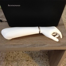 mano antebrazo educación anatomía decoración 3d print model - Mito3D