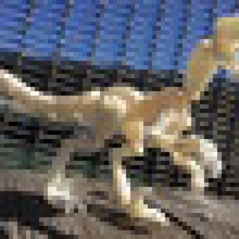 velociraptor 3d print model - Mito3D