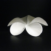 fleur bol fruits jardin 3d print model - Mito3D