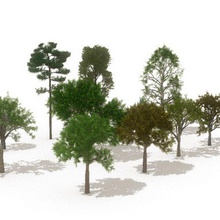 12 alberi europei architettura europea icreate paesaggio più in basso modello la pianta poli res risoluzione scena set sito albero 3d print model - Mito3D