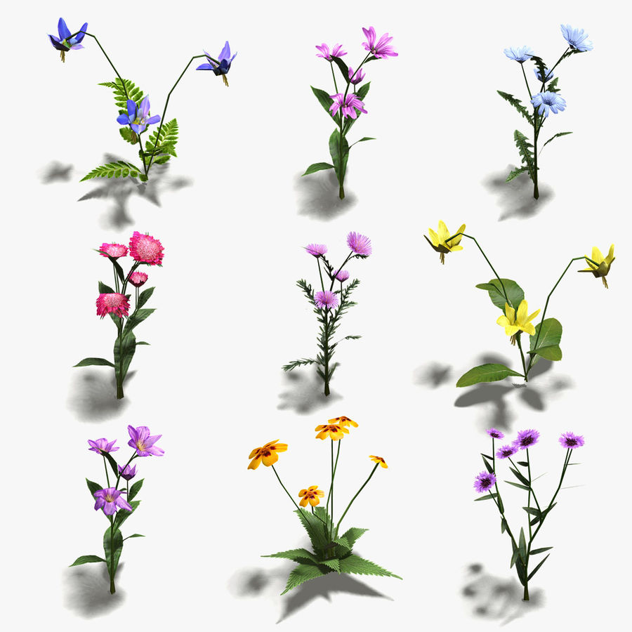 16 low-poly fiori + icone 3dmmo la camomilla collezione il coperchio flora floreale fiore gioco giardino erba verde terra ico icona lily più in basso modello natura pianta poli pooly pronto set farcite texture 3D print model - Mito3D