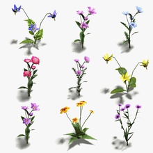 16 düşük poli çiçek simgeleri+ 3dmmo papatya toplama kapak flora oyun bahçe çim yeşil zemin ıco simge lily daha model doğa bitki poly pooly hazır ayarlayın doldurulmuş doku 3d print model - Mito3D