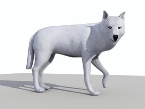3d model low poly white wolf animal arctic artico beast canada cold dog fox lobo lower north ruli castle snow tundra wild winter 3d print model - Mito3D